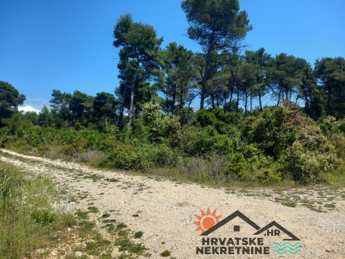 Veliko građevinsko zemljište u 1. redu do plaže